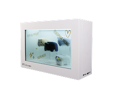 витринный бокс